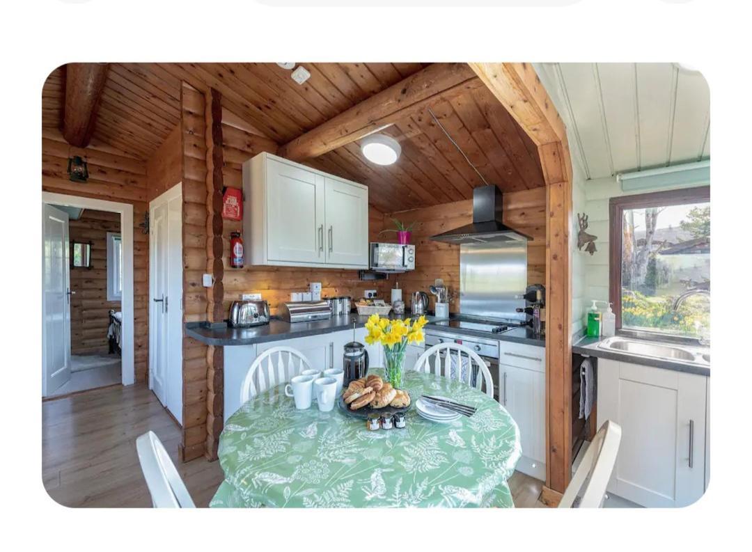 Cosy Cabin In Snowdonia With Views Wi-Fi Dog Friendly & Parking Trawsfynydd Экстерьер фото