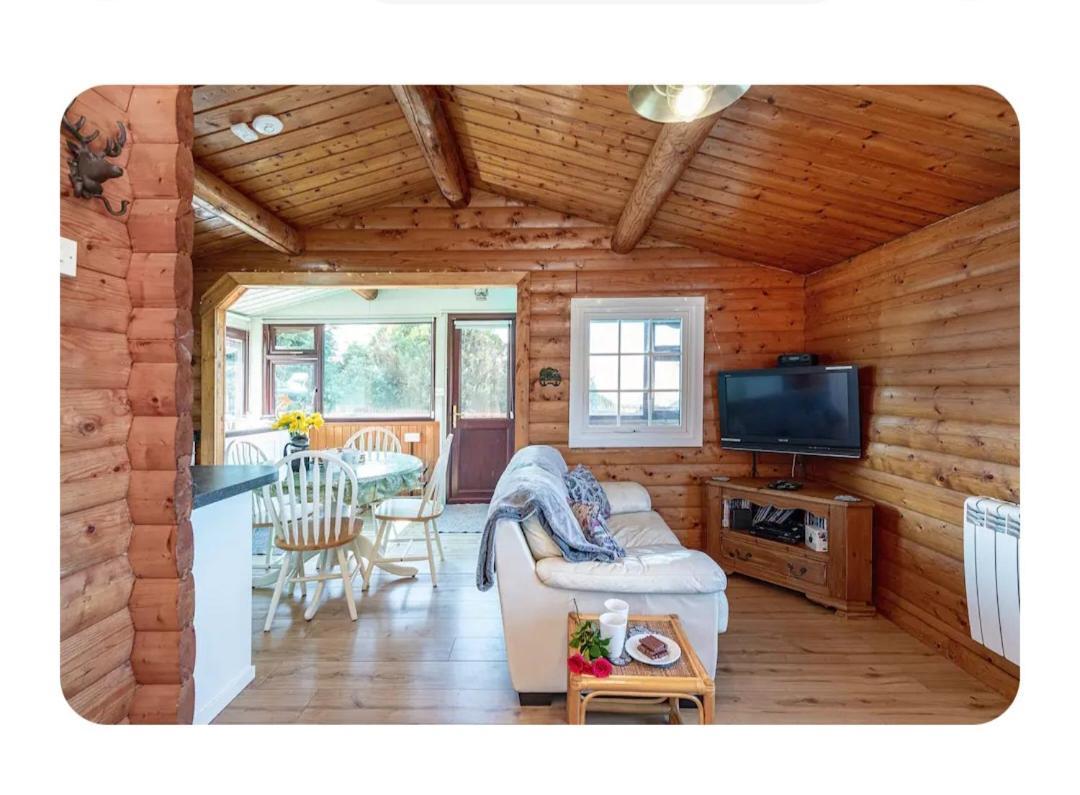 Cosy Cabin In Snowdonia With Views Wi-Fi Dog Friendly & Parking Trawsfynydd Экстерьер фото